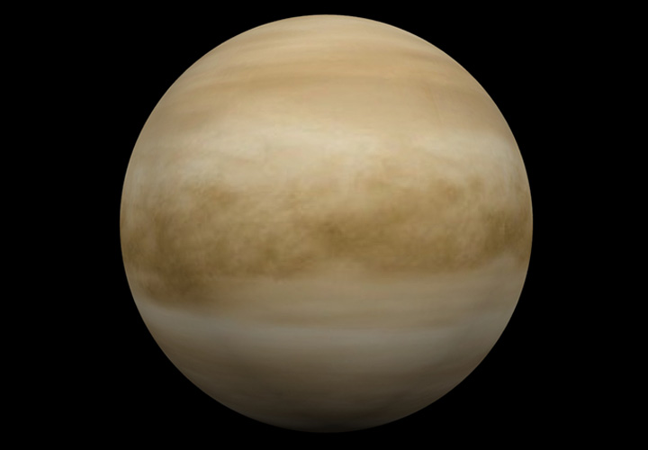 The Venus
